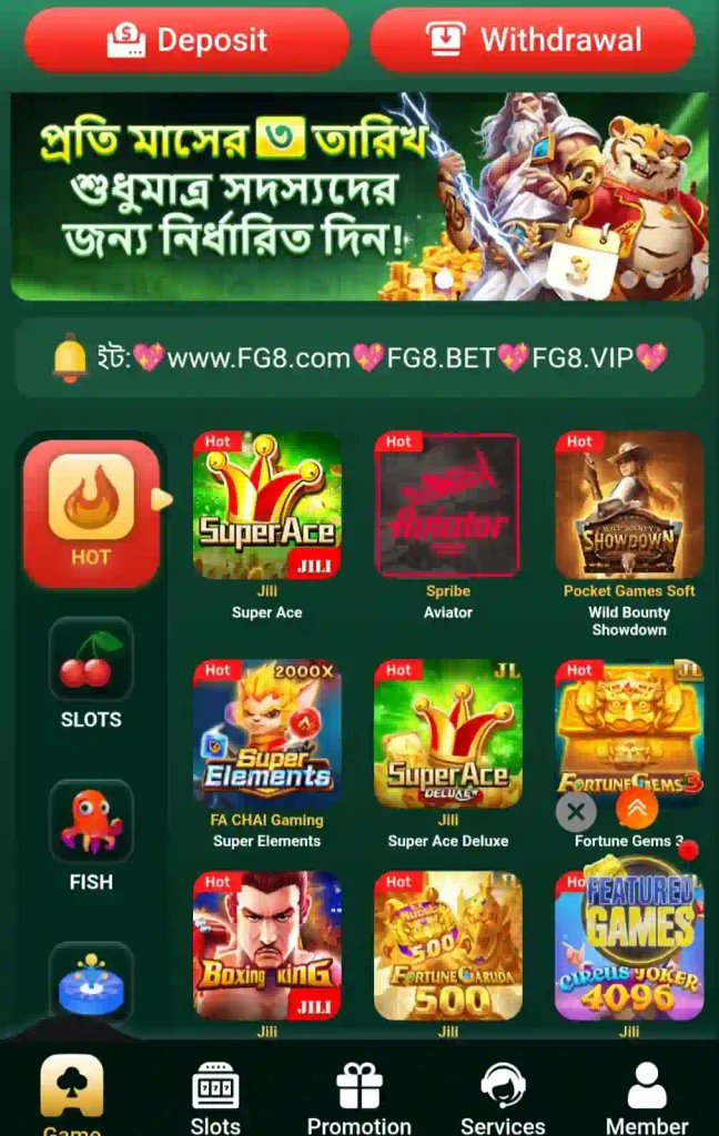 FG8 Game